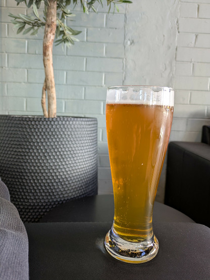 A glass of beer in front of a fake potted plant