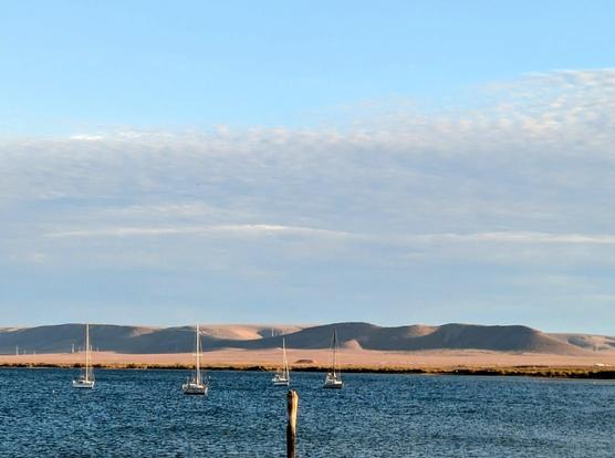 Looking across the harbour. 